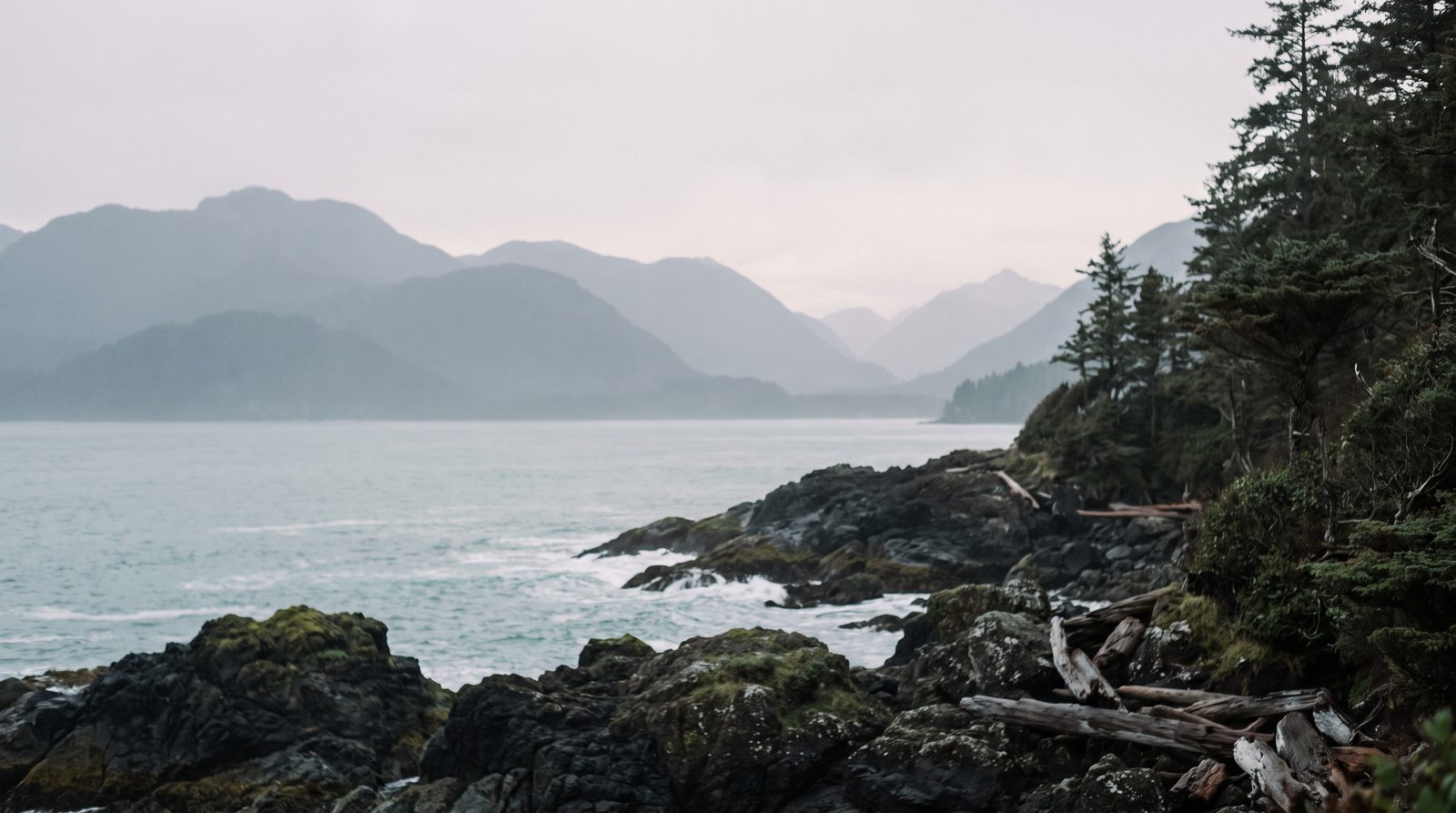Muted Pacific coastal landscape representing Coast Health Consulting's regional coverage in Alaska
