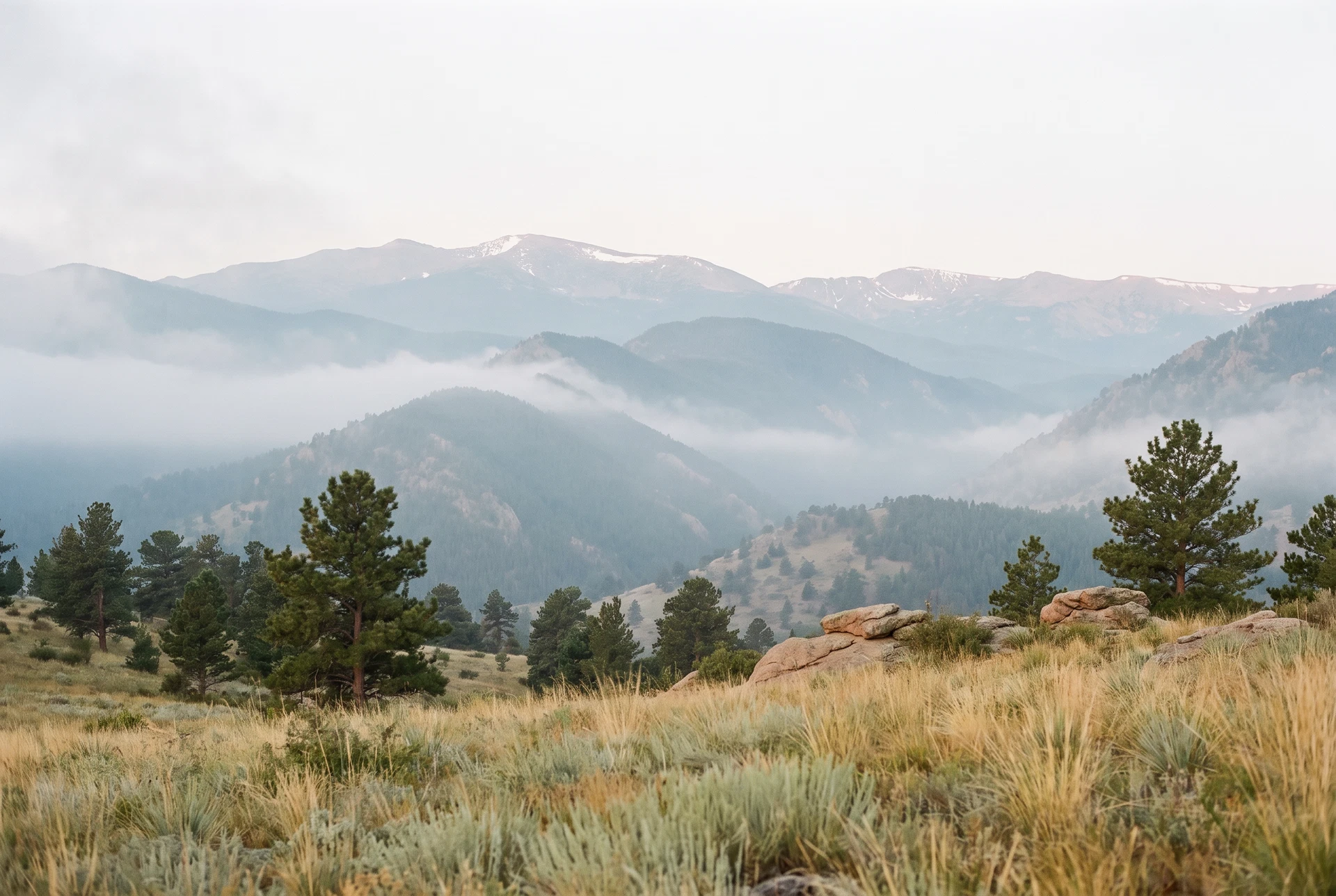 Colorado Front Range foothills with native grasses and layered mountain ridges
