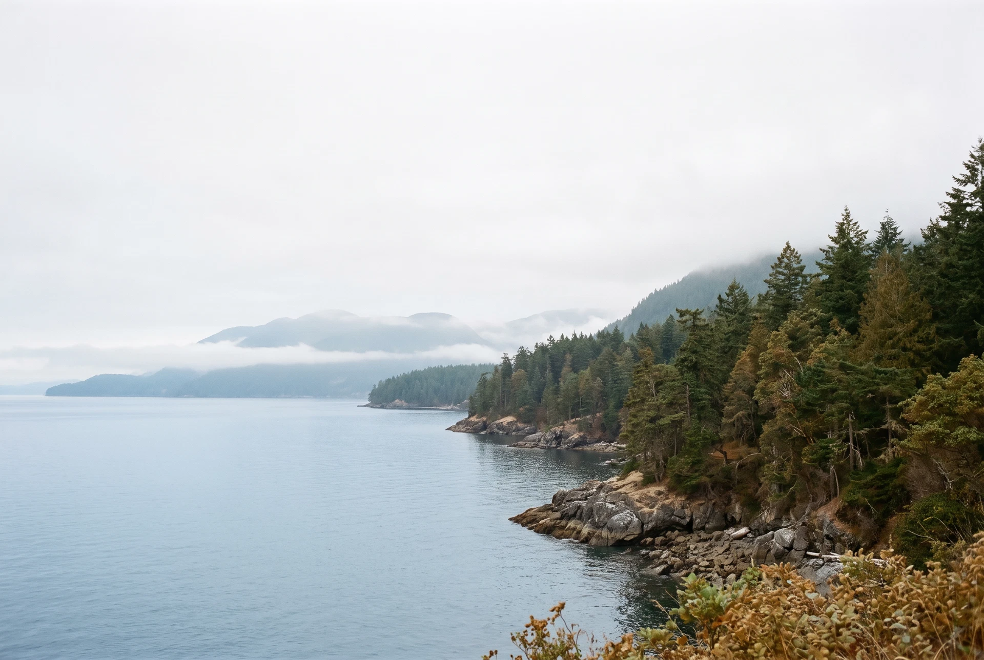 Puget Sound shoreline with evergreen forest and distant Washington mountains